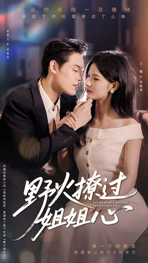 野火撩过姐姐心（97集）口碑爆棚免费看