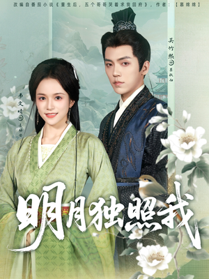 明月独照我（80集）短剧有好货推荐