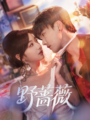 野蔷薇（60集）更新时间一览表