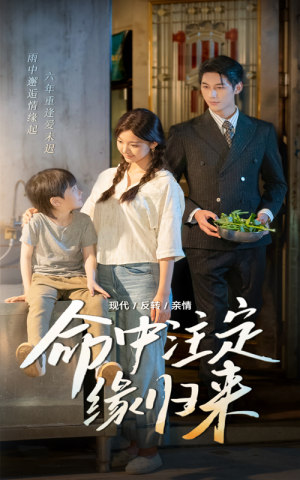 命中注定缘归来（63集）精彩短剧合集