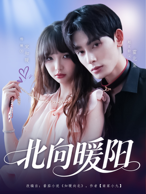 北向暖阳（80集）在哪个平台看好