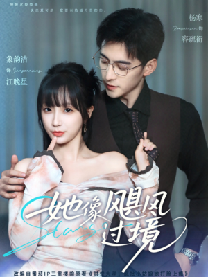 她像飓风过境(81集) 她像飓风过境(81集)大结局一气呵成