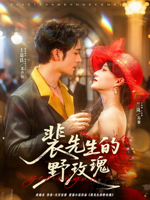 裴先生的野玫瑰（72集）免费观看就是爽