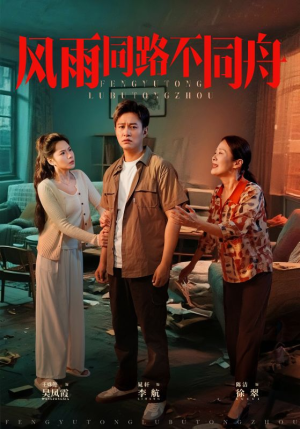 风雨同居不同舟（32集）热门短剧免费看