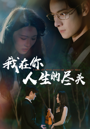 我在你人生的尽头（60集）免费看全网短剧