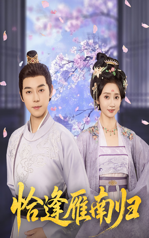 恰逢雁南归（51集）热门短剧分享