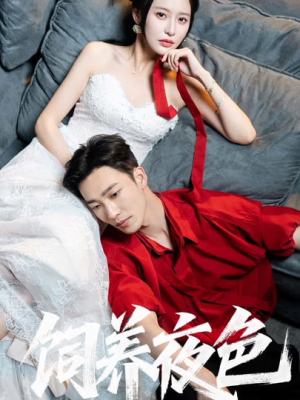 饲养夜色（86集）最火短剧推荐