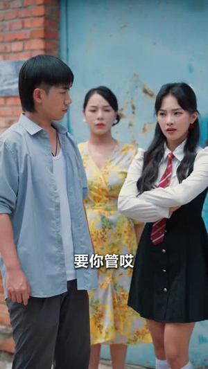 极品小傻医（78集）一共多少集