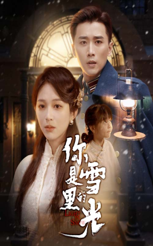 你是雪里的光（64集）男频短剧推荐
