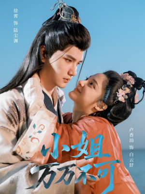 小姐万万不可（74集）精彩短剧随心推