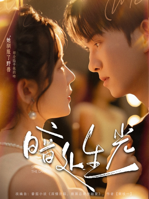 暗处生光（82集）最热短剧抢先看