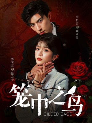 笼中之鸟（70集）短剧小说在线看