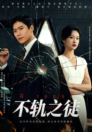 不轨之徒（72集）推荐你们也去看