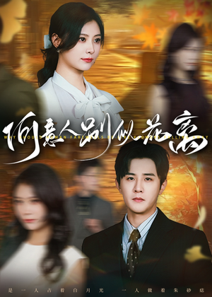 何意人别似花离(61集) 何意人别似花离(61集)观看软件