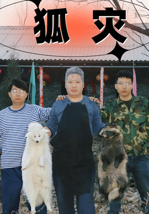 狐灾（25集）免费观看就是爽