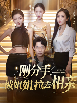 分手被姐姐拉去相亲(73集) 分手被姐姐拉去相亲(73集)热门短剧榜单