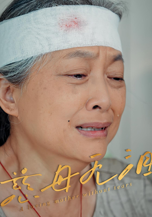 慈母无泪(30集) 慈母无泪(30集)超好看古装短剧