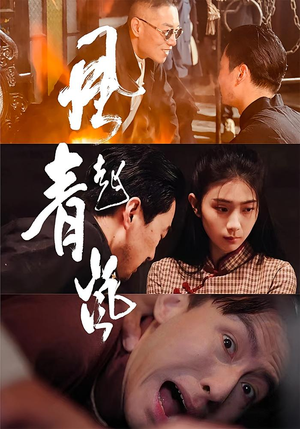 风起青岚（96集）爆款短剧抢先看