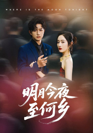 明月今夜至何乡（70集）正能量短剧分享