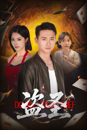 盗圣(63) 盗圣(63)热播短剧免费看