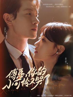 傅总你的小可怜又哭了（80集）去哪里看