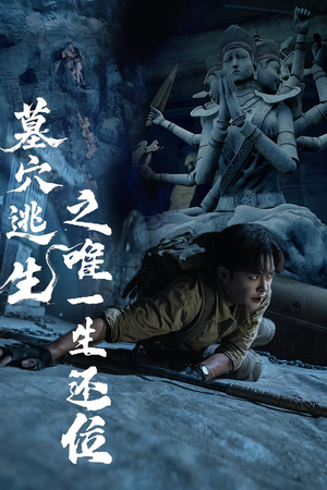 墓穴逃生之唯一生还位（70集）集免费看短剧