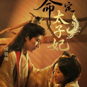 命定太子妃(63集) 命定太子妃(63集)热门火爆短剧