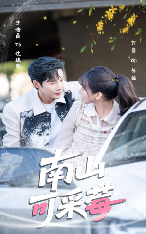 南山可采莓（66集）短剧解说热门