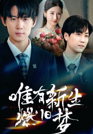唯有新生燃旧梦（55集）番茄短剧免费看