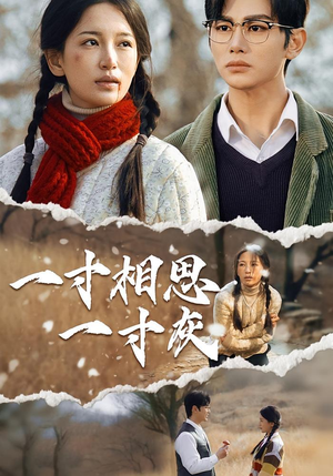 一寸相思一寸灰（43集）第三季