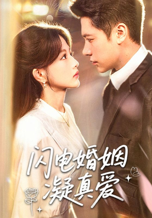 闪电婚姻凝真爱(60集) 闪电婚姻凝真爱(60集)网盘在线观看