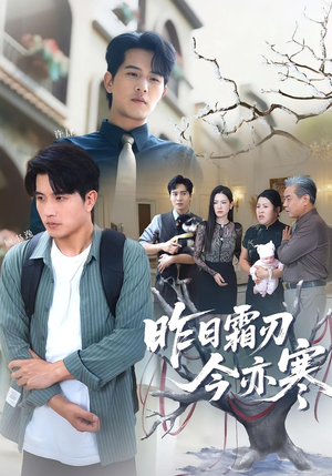 昨日霜刃今亦寒(80集) 昨日霜刃今亦寒(80集)大结局太过瘾了