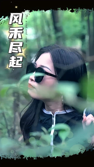 风禾尽起（31集）完整版免费观看