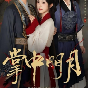 掌中明月(60集) 掌中明月(60集)第三季