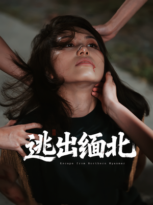 逃出缅北(62集) 逃出缅北(62集)免费看全集