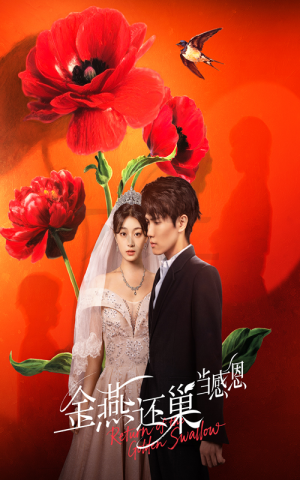 金燕还巢当感恩（55集）高分推荐免费看