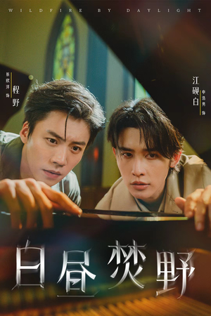 白昼焚野(70集) 白昼焚野(70集)短剧全集完整