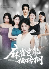 麻雀岂能栖梧桐（31集）小短剧推荐