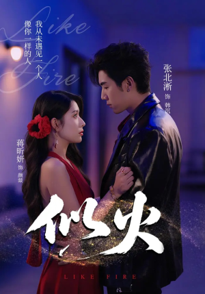 似火(80集) 似火(80集)每日短剧分享