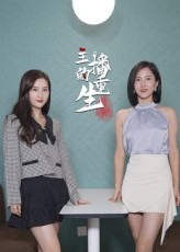 主播的重生（15集）精彩的网络短剧