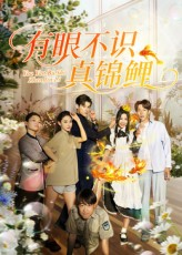 有眼不识真锦鲤（35集）好看上头的短剧