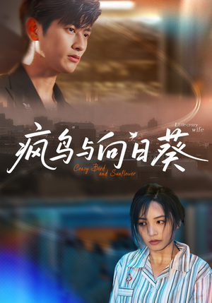 疯鸟与向日葵(40集) 疯鸟与向日葵(40集)最火短剧热播