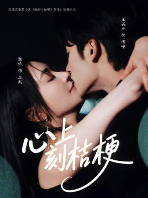 心上刻桔梗（90集）火爆短剧推荐