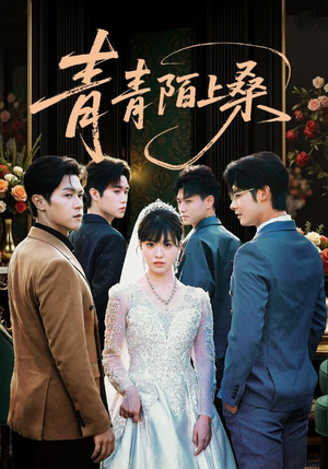 青青陌上桑（70集）最新短剧推荐