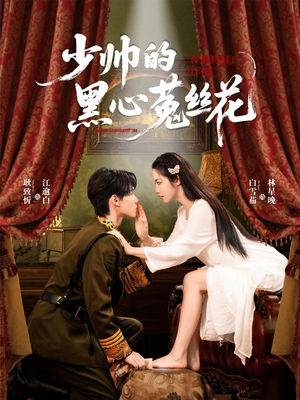 少帅的黑心菟丝花（60集）在线免费观影