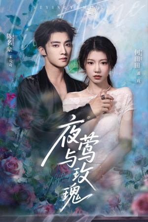 夜莺与玫瑰(66集) 夜莺与玫瑰(66集)热门短剧榜单