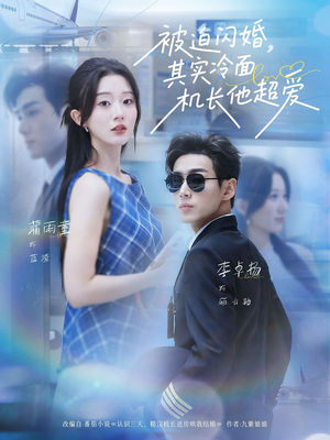 被迫闪婚其实冷面机长他超爱(77集) 被迫闪婚其实冷面机长他超爱(77集)免费看全集