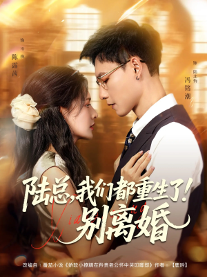 陆总我们都重生了别离婚(79集) 陆总我们都重生了别离婚(79集)全集我都看完了