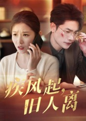 疾风起旧人离(32集) 疾风起旧人离(32集)热门短剧抢先