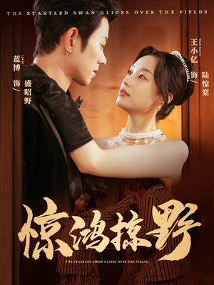 惊鸿掠野(62集) 惊鸿掠野(62集)全集完整版